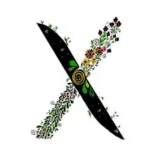 x name dp download